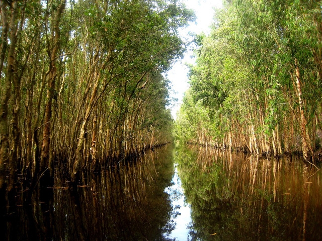 Mùa thu về miền Tây ngắm rừng tràm Trà Sư - Ảnh 6.