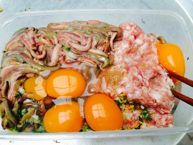 Háo hức ngóng đợi mùa chả rươi Tứ Kỳ - Ảnh 2.