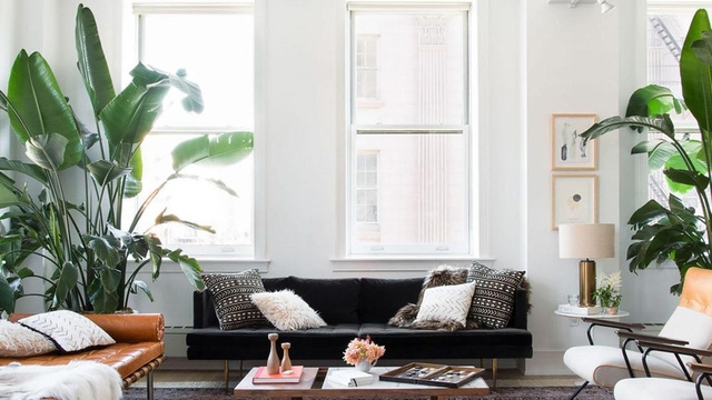 Thay đổi phong thủy, vận khí hanh thông - Ảnh 2.