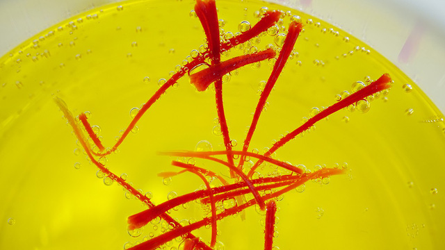 Tỉnh táo để phân biệt saffron thật – giả - Ảnh 3.