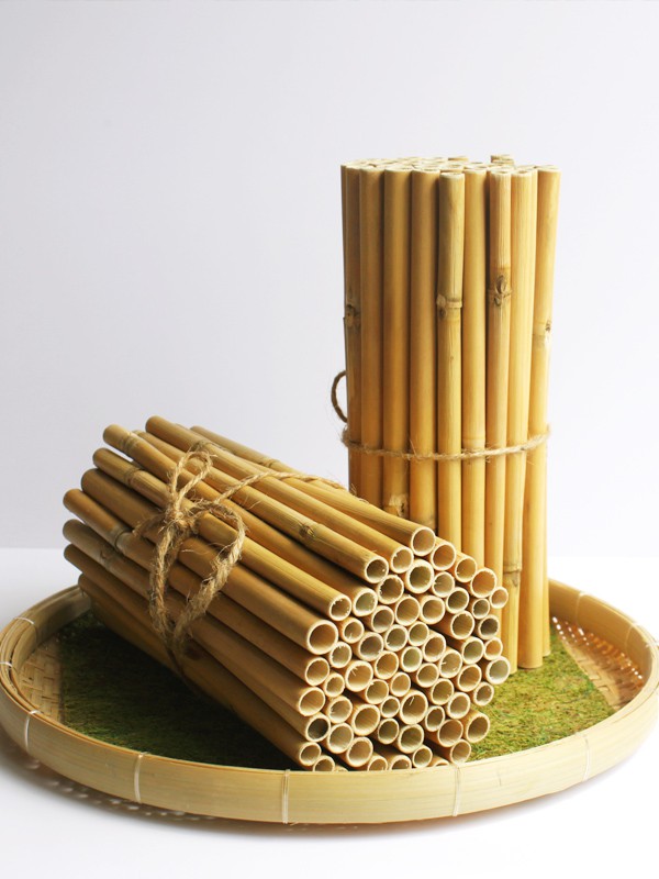 Ống hút thân thiện: xu hướng mới để loại bỏ rác thải nhựa - Ảnh 3.