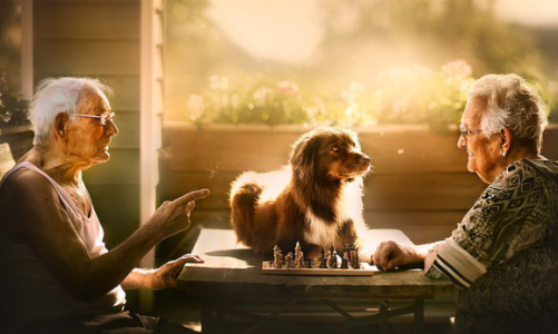 Sujata Setia: nhiếp ảnh gia chuyên chụp chuyện tình 