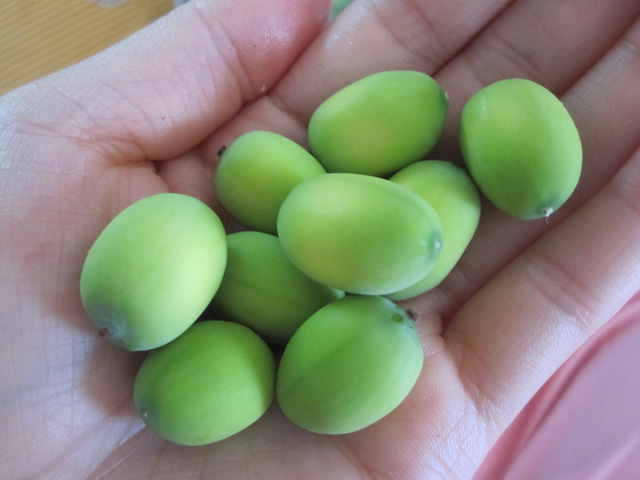 Vào mùa, tranh thủ thưởng thức hạt sen tươi - Ảnh 1.