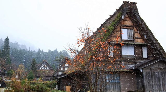 Shirakawa-go: làng cổ đẹp như tranh của Nhật Bản - Ảnh 4.