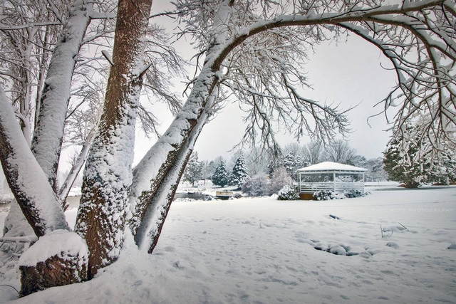 Đến Snowy Mountains để ngắm tuyết giữa mùa hè - Ảnh 10.