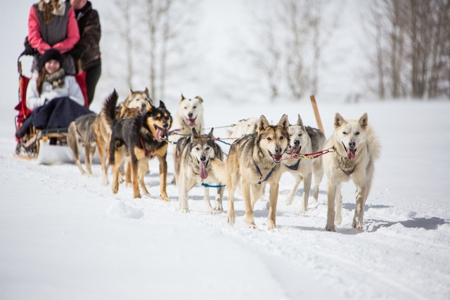 Đến Snowy Mountains để ngắm tuyết giữa mùa hè - Ảnh 11.