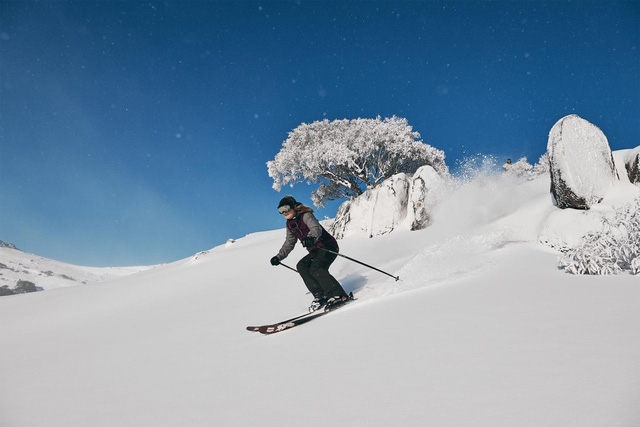 Đến Snowy Mountains để ngắm tuyết giữa mùa hè - Ảnh 2.