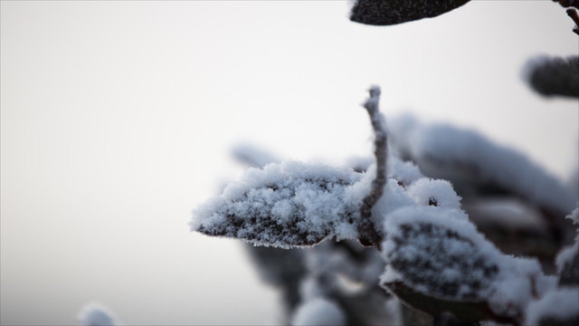 Đến Snowy Mountains để ngắm tuyết giữa mùa hè - Ảnh 5.