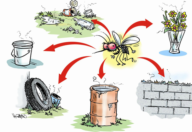 Cảnh giác với dịch bệnh sốt xuất huyết có xu hướng gia tăng - Ảnh 2.