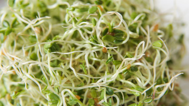 12 thực phẩm dinh dưỡng đặc biệt tốt cho phụ nữ - Ảnh 11.