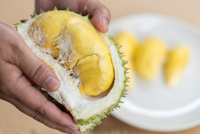 Miền Tây, mùa sầu riêng nức mũi - Ảnh 6.