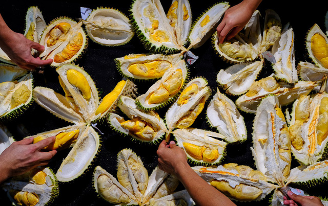 Miền Tây, mùa sầu riêng nức mũi - Ảnh 5.