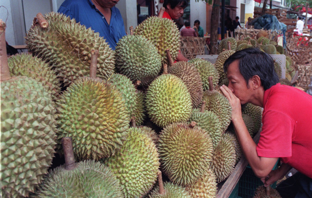 Miền Tây, mùa sầu riêng nức mũi - Ảnh 3.