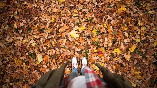 Ngắm mùa thu vàng ở cố đô của nước Nga - Ảnh 6.