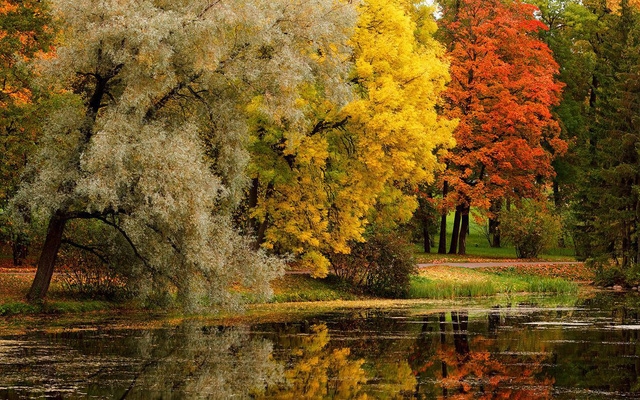 Ngắm mùa thu vàng ở cố đô của nước Nga - Ảnh 8.