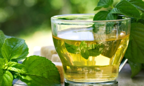 Trà bạc hà: Lợi ích sức khỏe và cách làm