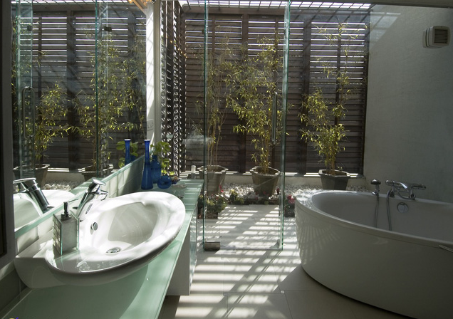 Nước mát và cây xanh trong phòng tắm - Ảnh 2.