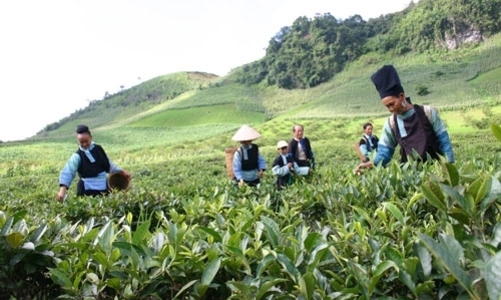 Hàng loạt chính sách mới có hiệu lực từ tháng 6/2015