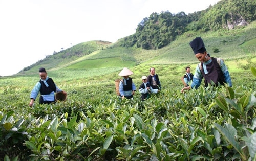  Chính phủ quyết định miễn tiền sử dụng đất trong hạn mức giao đất ở đối
 với hộ gia đình, cá nhân tại địa bàn có điều kiện kinh tế xã hội đặc 
biệt khó khăn, vùng biên giới, hải đảo.