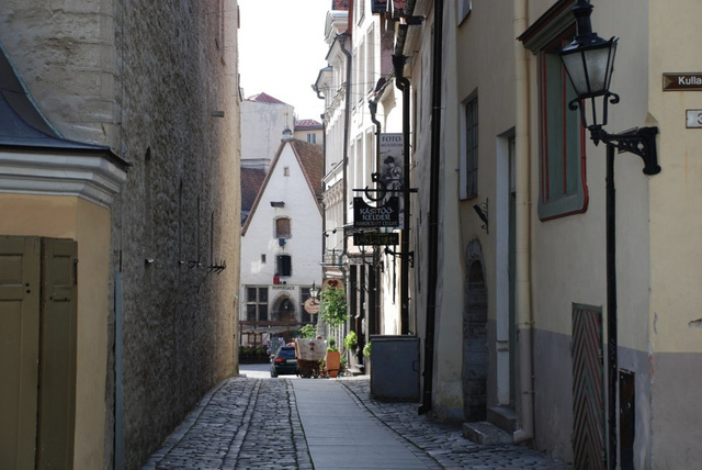 Tallinn – thế giới tuyết trong cổ tích - Ảnh 3.