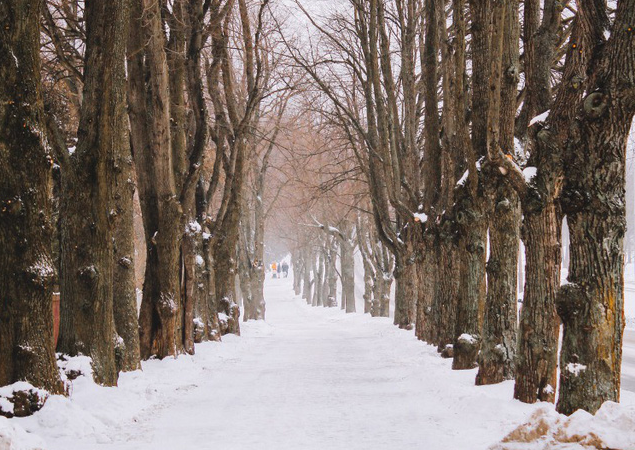 Tallinn – thế giới tuyết trong cổ tích - Ảnh 8.