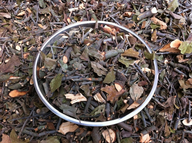 Tầm gửi cây gạo: chỉ là bài thuốc truyền miệng - Ảnh 2.