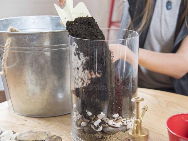 Tự tạo một Terrarium xinh xắn cho căn hộ nhỏ - Ảnh 6.