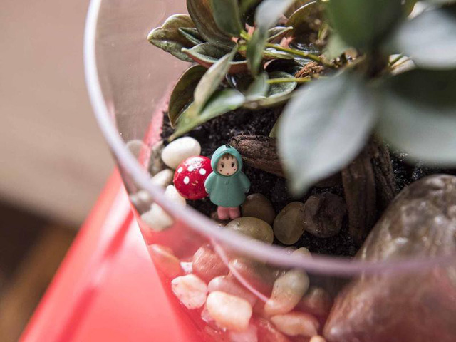 Tự tạo một Terrarium xinh xắn cho căn hộ nhỏ - Ảnh 8.