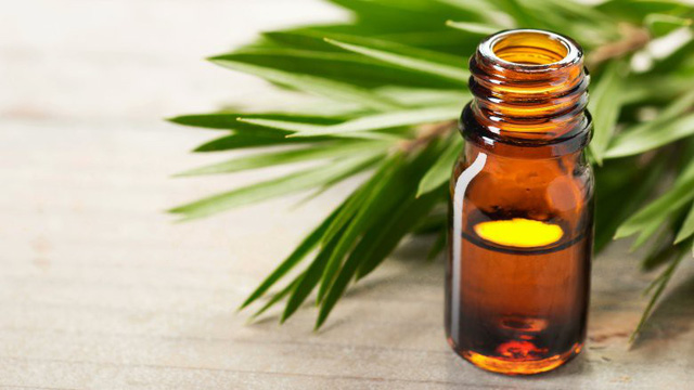 Những phương thuốc tự nhiên tuyệt vời để chữa bệnh - Ảnh 14.