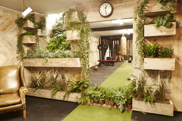 Bạn có muốn tập trong một phòng gym xanh? - Ảnh 1.