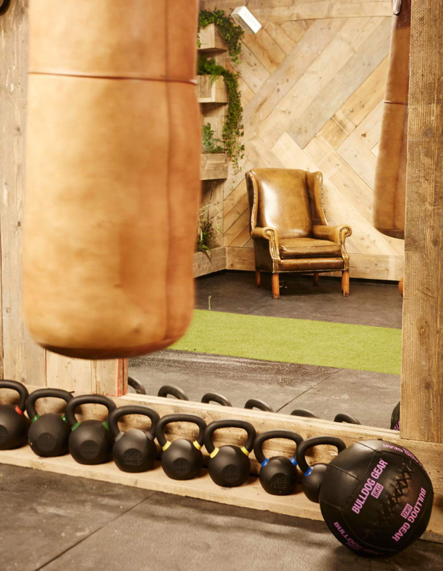 Bạn có muốn tập trong một phòng gym xanh? - Ảnh 6.