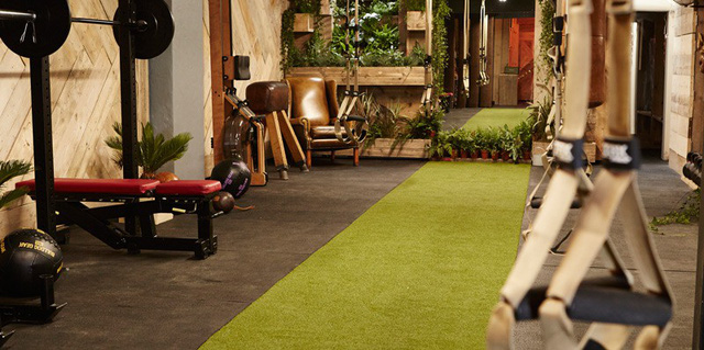 Bạn có muốn tập trong một phòng gym xanh? - Ảnh 2.