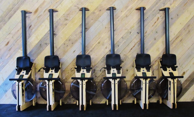 Bạn có muốn tập trong một phòng gym xanh? - Ảnh 8.