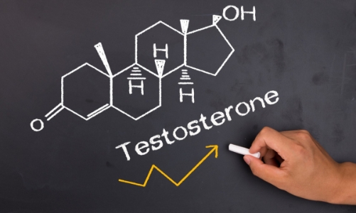 Testosterone từ những thói quen hàng ngày