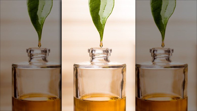 Sự thật về các loại tinh dầu - Ảnh 3.