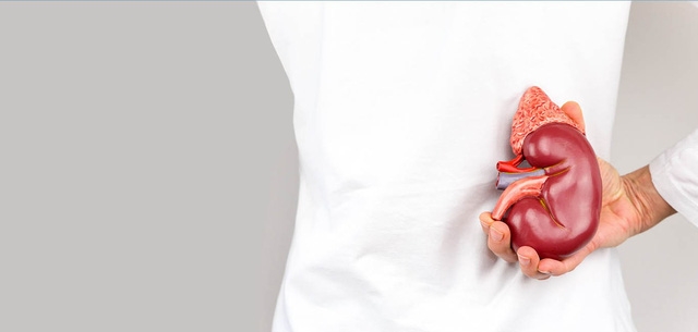 7 thói quen gây hại cho thận - Ảnh 1.