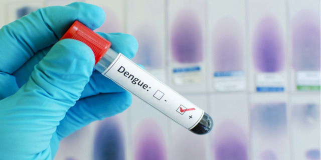 Thực phẩm giúp tăng tiểu cầu tự nhiên khi điều trị sốt xuất huyết - Ảnh 2.