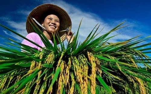 Chính phủ đã có nhiều thay đổi về cơ chế cho vay, mức độ ưu đãi đối với 
các nhu cầu vay vốn trong lĩnh vực này, cũng như khắc phục những điểm 
hạn chế thời gian qua.