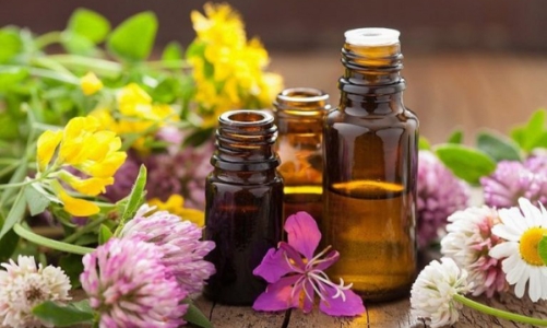 Sự thật về các loại tinh dầu