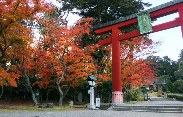 Lên chuyến tàu đến Tohoku mùa lá đỏ - Ảnh 1.