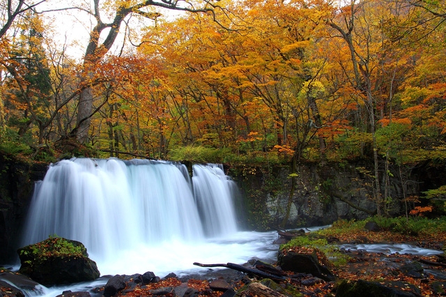 Lên chuyến tàu đến Tohoku mùa lá đỏ - Ảnh 2.