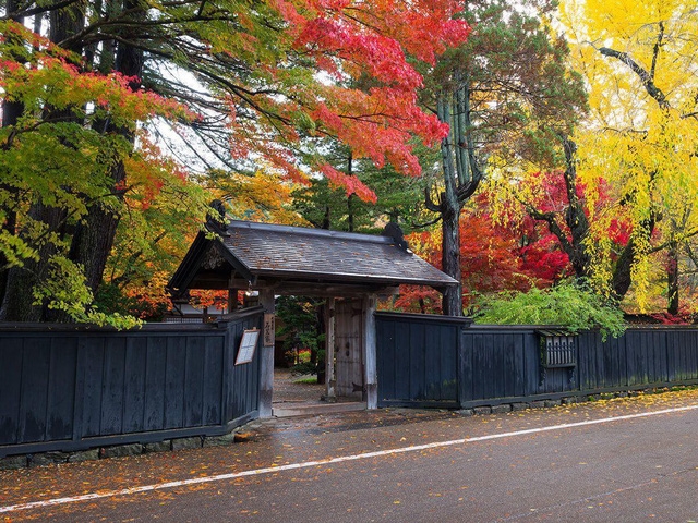 Lên chuyến tàu đến Tohoku mùa lá đỏ - Ảnh 7.