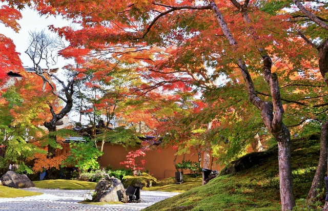 Lên chuyến tàu đến Tohoku mùa lá đỏ - Ảnh 8.
