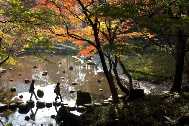 Chầm chậm thôi nhé, ở Tokyo… - Ảnh 12.
