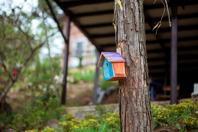 5 homestay đẹp để bạn check-in Mộc Châu - Ảnh 11.