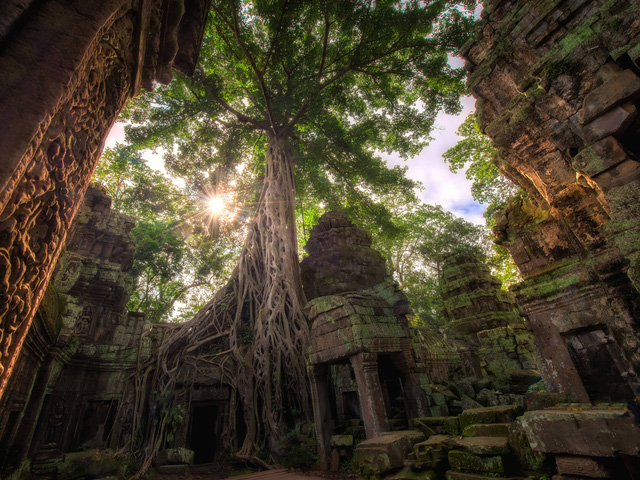 Tour du lịch siêu đắt sẽ ghé qua Hội An đầu tiên - Ảnh 2.