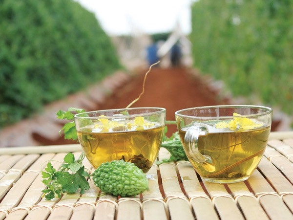 Món ngon thanh mát từ quả mướp đắng - Ảnh 7.