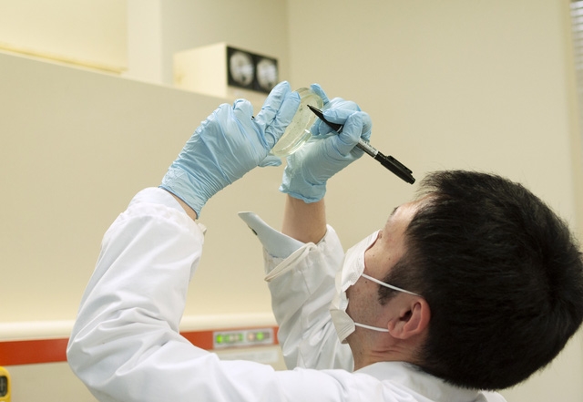 Tìm thấy hợp chất điều trị Covid-19 trong trà? - Ảnh 2.