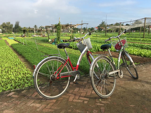 Làng rau Trà Quế thành điểm tham quan chính thức từ đầu năm mới - Ảnh 3.