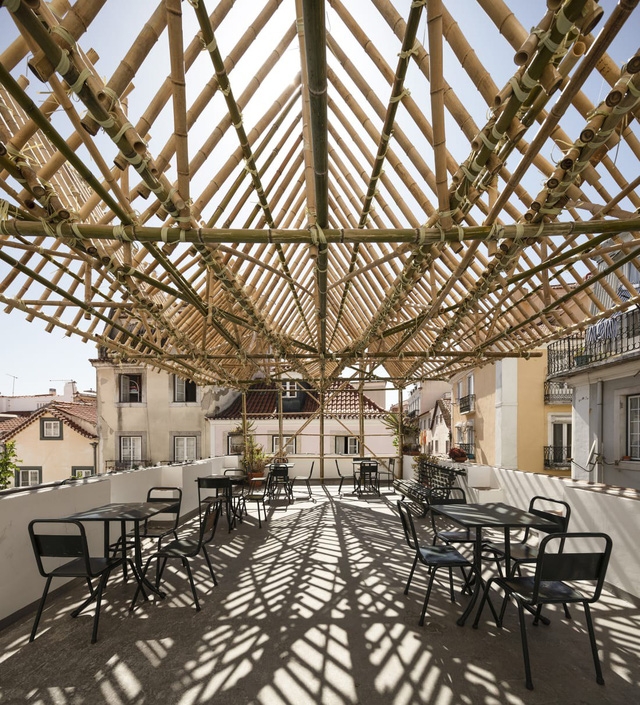 Macao: tiềm năng của tre trong kiến trúc sinh thái - Ảnh 4.